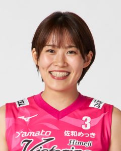 大元 朱菜