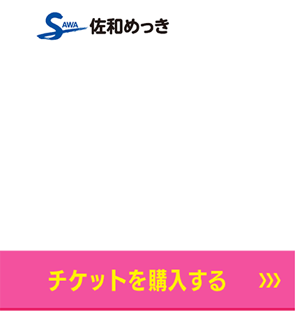 3/9スポンサー　佐和めっき　チケット購入