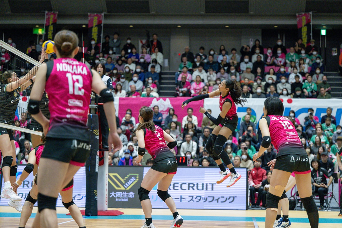 試合の見どころ