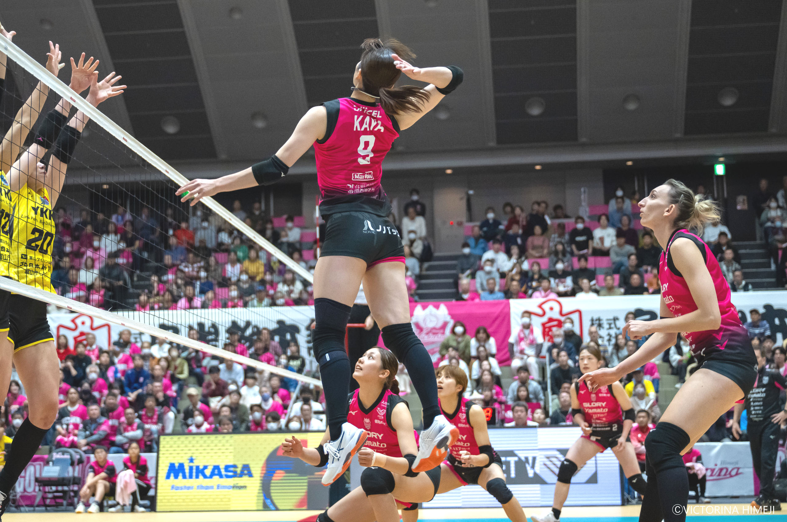 試合の見どころ